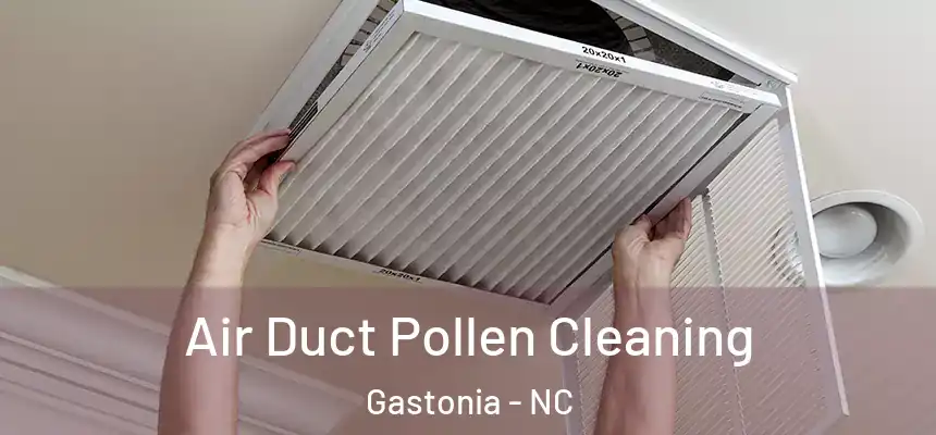  Air Duct Pollen Cleaning Gastonia - NC