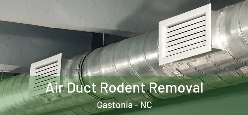 Air Duct Rodent Removal Gastonia - NC