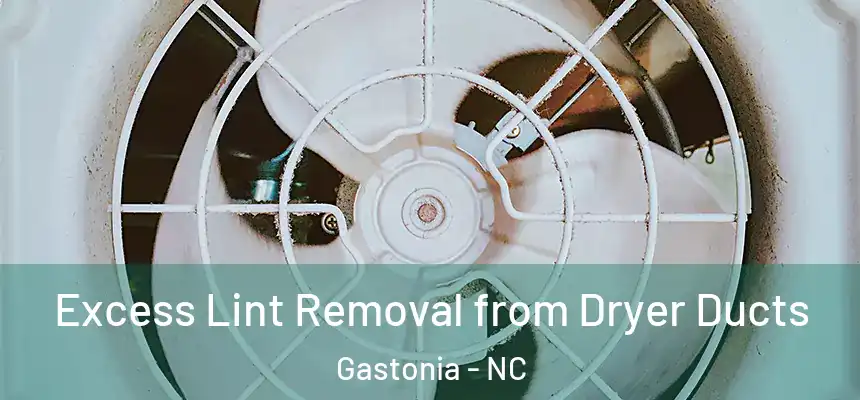  Excess Lint Removal from Dryer Ducts Gastonia - NC