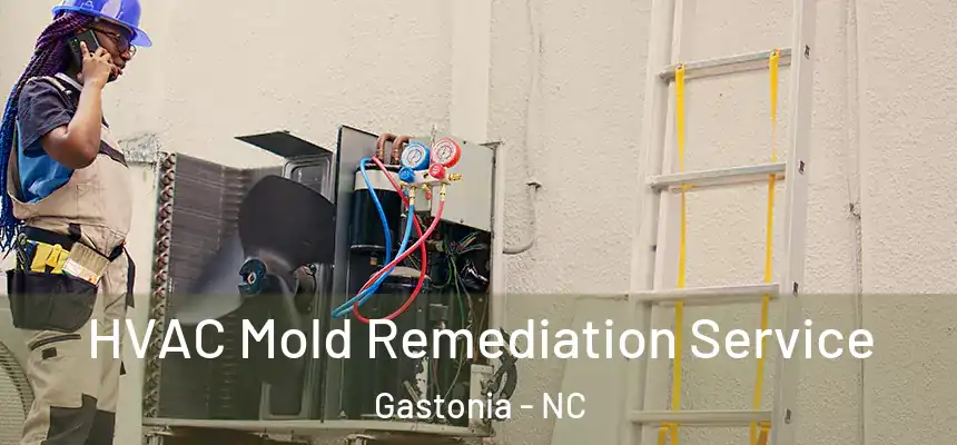 HVAC Mold Remediation Service Gastonia - NC