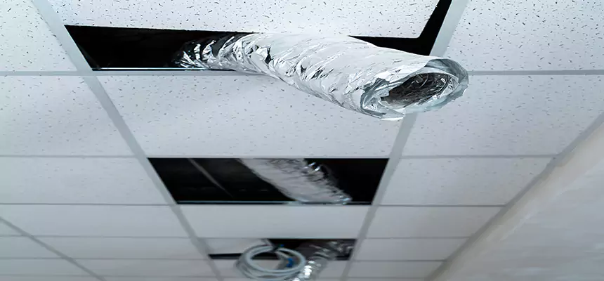 Our Air Duct Pet Hair Removal Services in Gastonia, NC