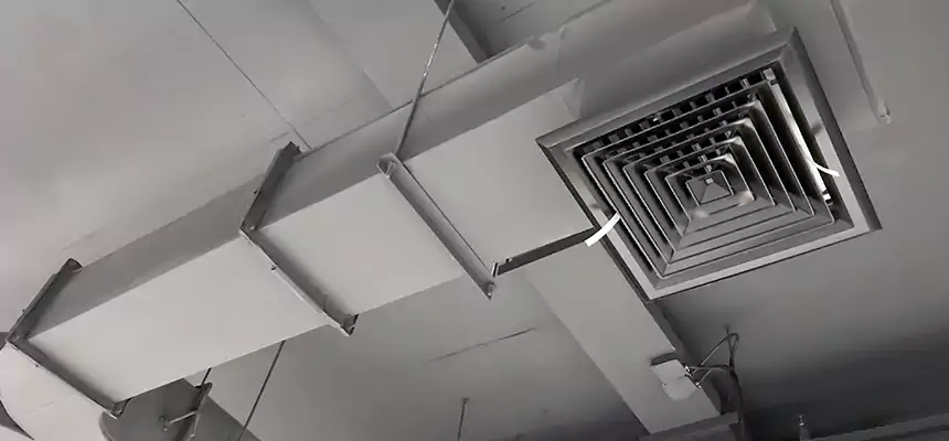 Restorative Allergy Relief Vent Cleaning – Coil, Blower & Housing Detail in Gastonia