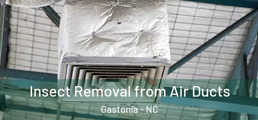  Insect Removal from Air Ducts Gastonia - NC