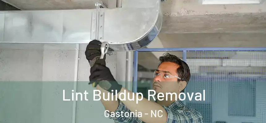  Lint Buildup Removal Gastonia - NC