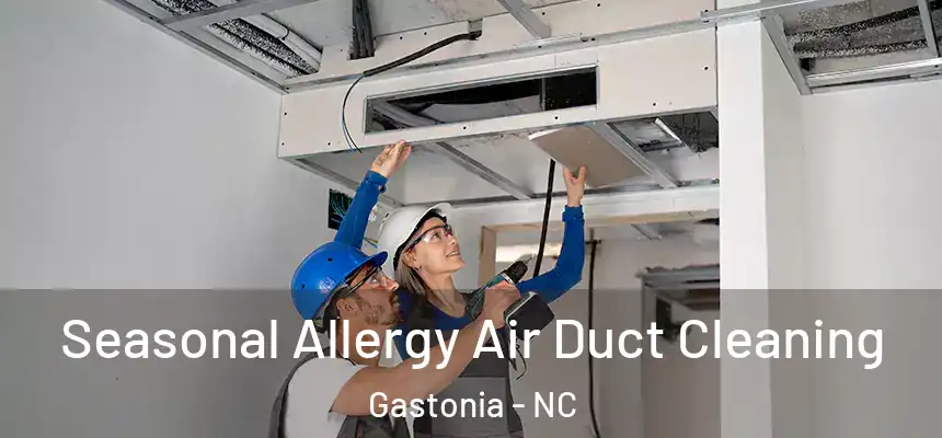  Seasonal Allergy Air Duct Cleaning Gastonia - NC