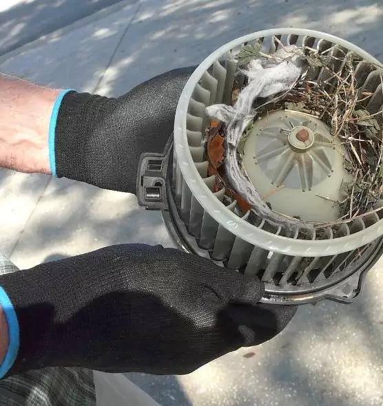 About Air Duct Mice Removal in Gastonia, NC