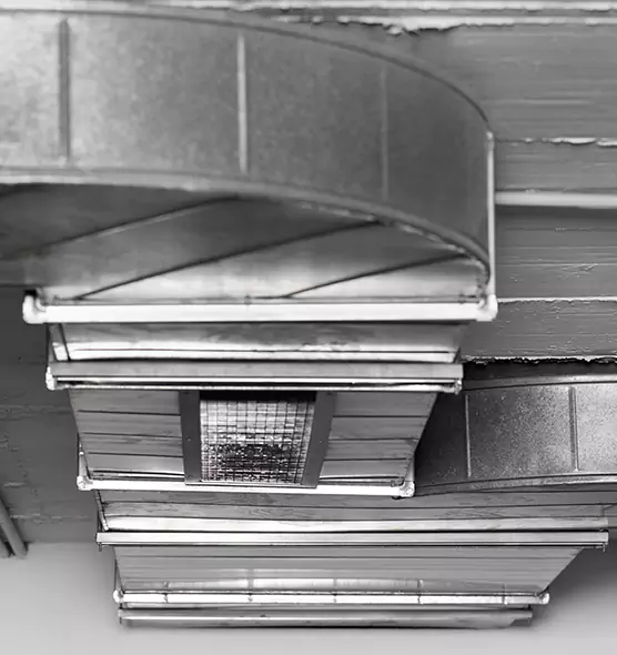 Professional Air Duct Pest Removal in Gastonia, NC