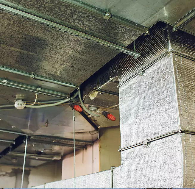 Why Homeowners & Businesses Trust Us in Gastonia, NC?