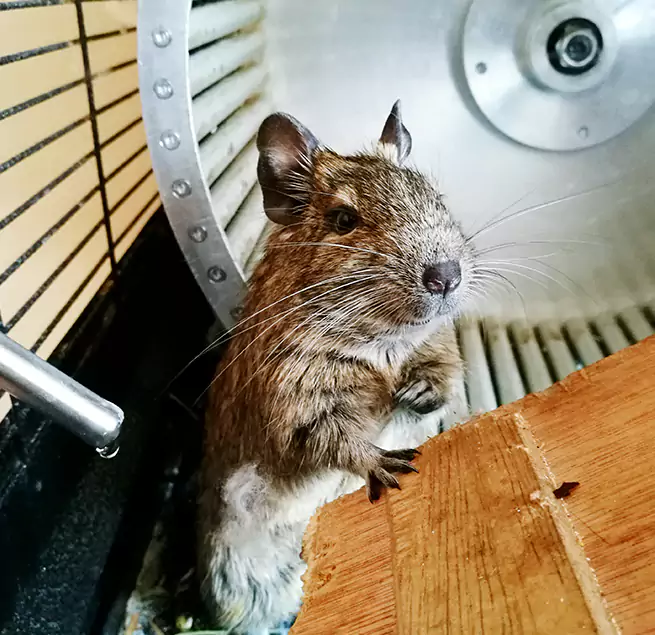 Why Homeowners & Businesses Trust Us Gastonia, NC