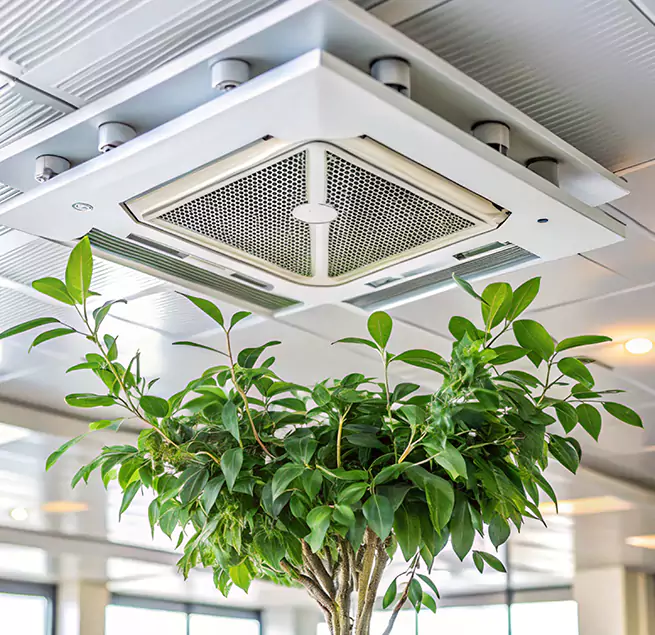 Why Homeowners & Businesses Trust Us in Gastonia, NC